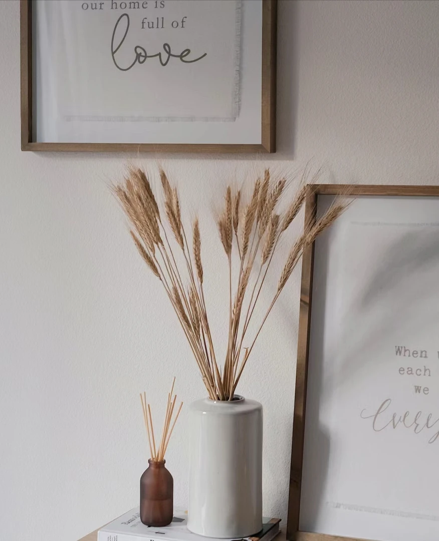 【拾花拾木】小麦 云南鲜花