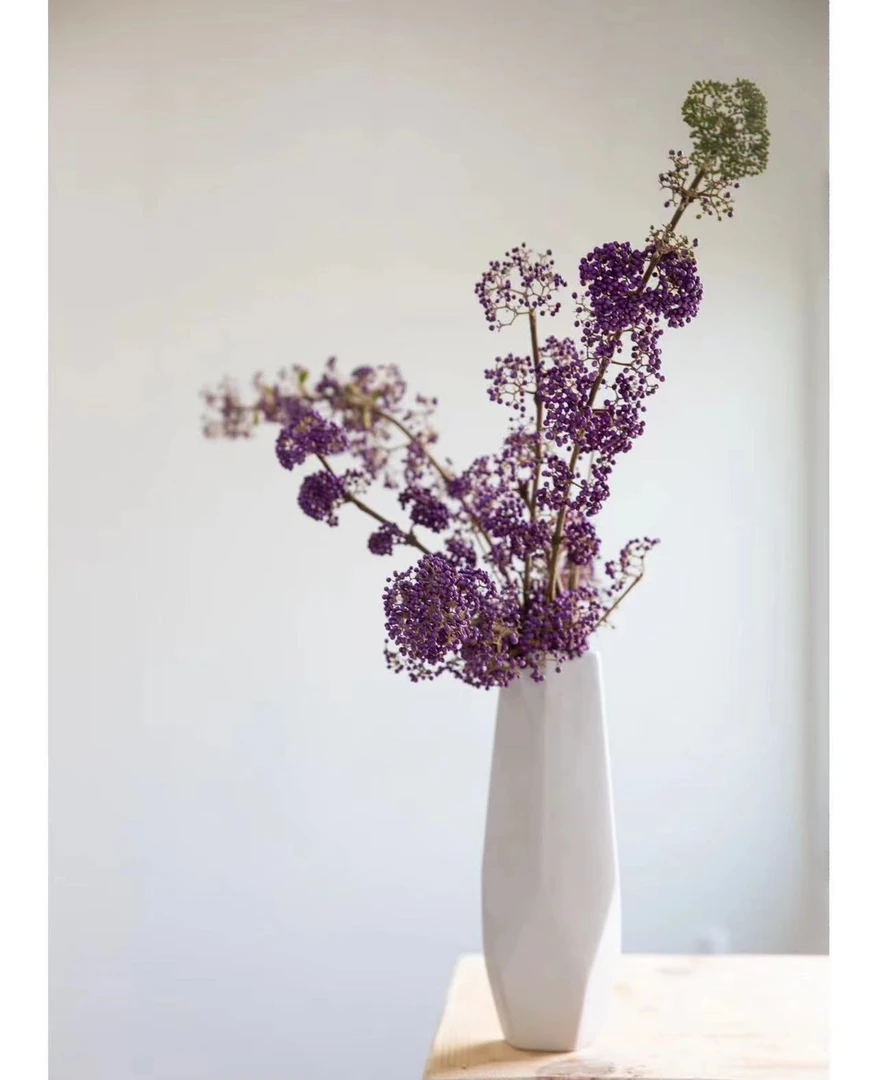 【拾花拾木】紫珠（轻微掉果） 云南鲜花