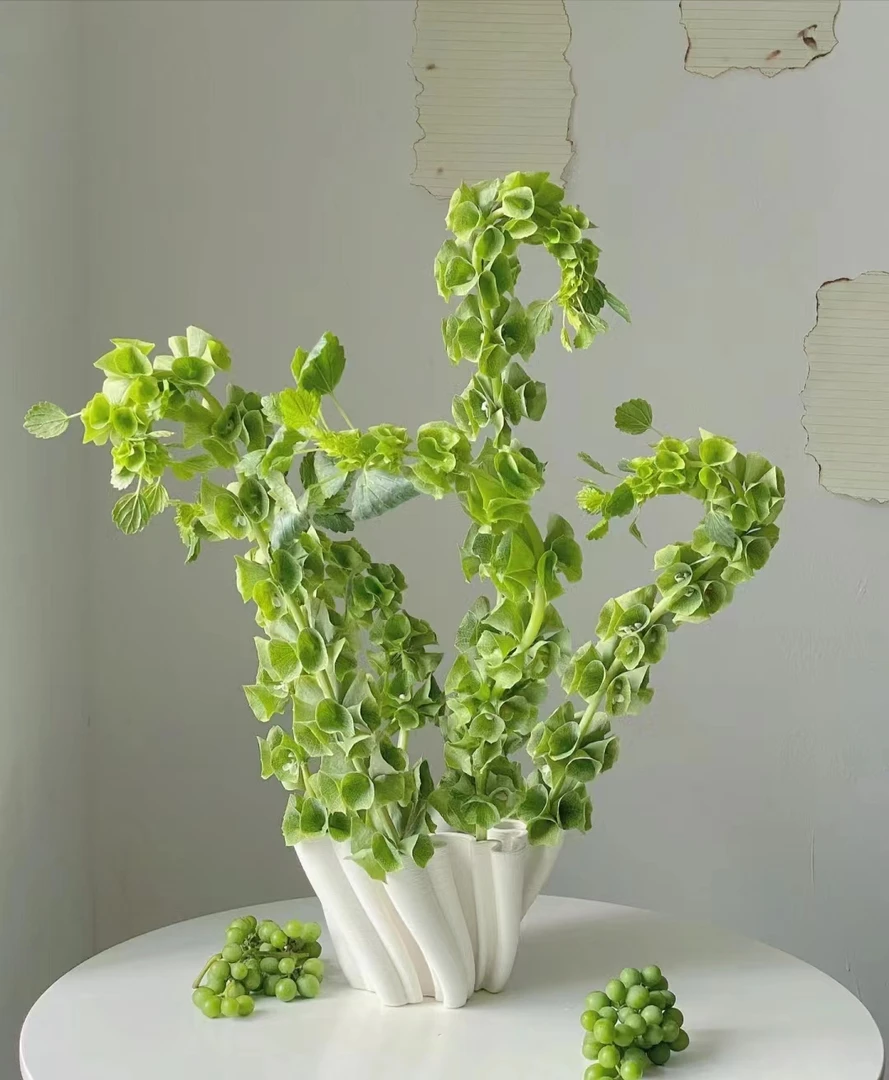 【拾花拾木】贝壳草鲜花玫瑰云南鲜花茉莉仿真花插花绿色家居摆件