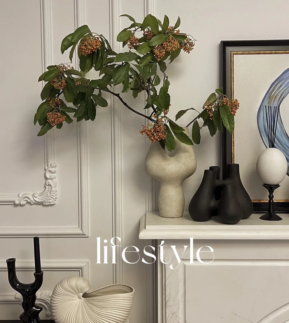 【拾花拾木】红色石楠果 云南鲜花