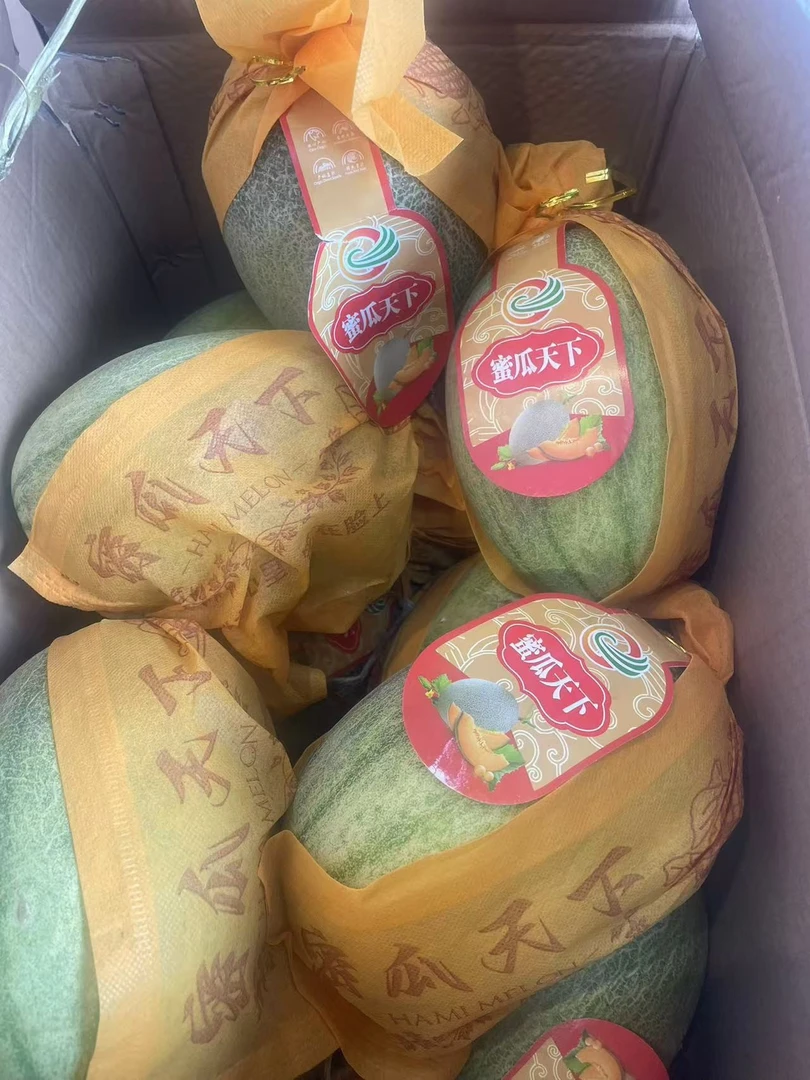 海南小蜜瓜（3斤左右）脆甜