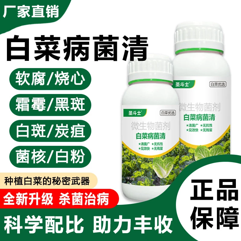 白菜病菌清白菜专用微生物菌剂霜霉软腐灰霉干烧心白菜专用杀菌灵