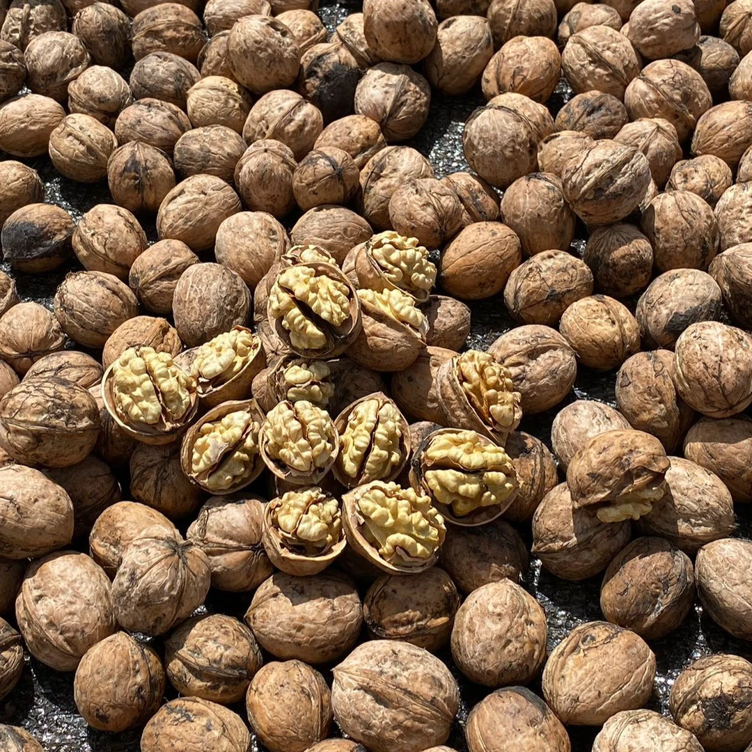 新疆185纸核桃不漂白丑核桃原色原味纸皮核桃手工自然