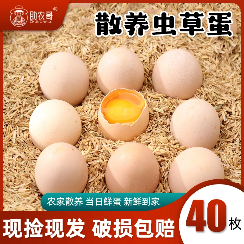 贵州鸡蛋  野外散养五谷草虫蛋农村谷物柴鸡蛋笨新鲜天然放养