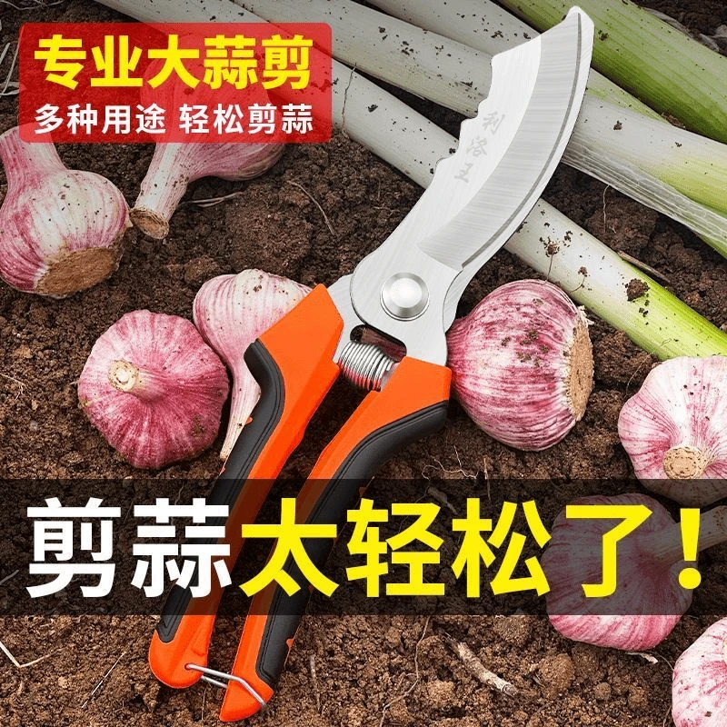 大蒜剪圆葱专用剪刀农用干湿蒜杆胡蒜头须工具生姜大葱洋葱剪神器