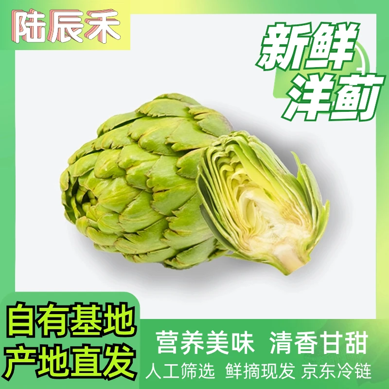 爨香闵农(福利款)云南洋蓟直供(迷你果)新鲜采摘美味营养朝鲜蓟