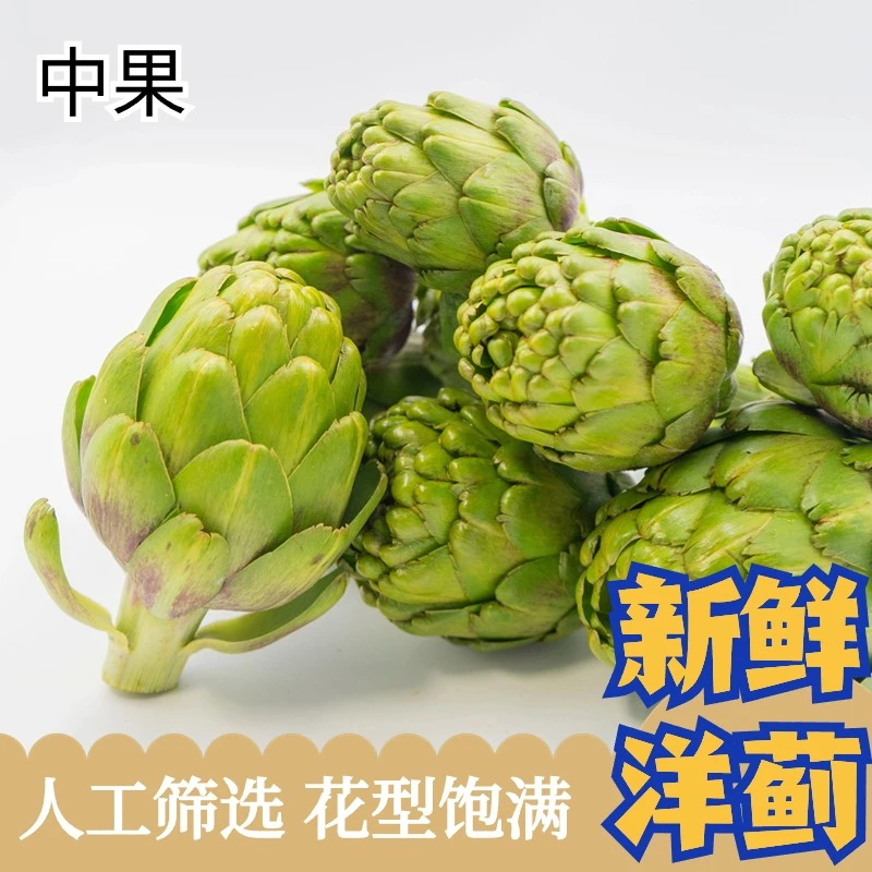 云南发货直供新鲜洋蓟中果朝鲜蓟蔬菜采摘蓟营养味美美味产品鲜活