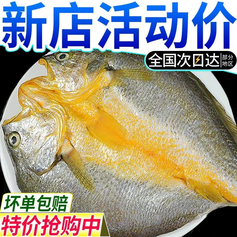鲜活开背黄花鱼黄姑鱼冷冻真空6包 国产生鲜煎炸黄花鱼 顺丰包邮