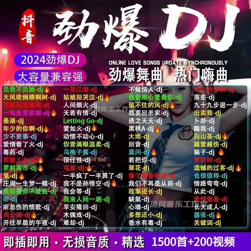 2024新dj劲爆嗨曲车载u盘热门网络流行中文DJ榜单无损车载音乐U盘