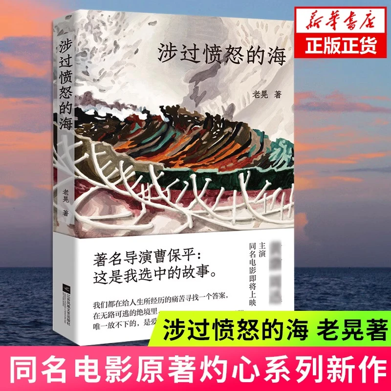 涉过愤怒的海 老晃 同名电影原著灼心系列 现实主义小说正版书籍