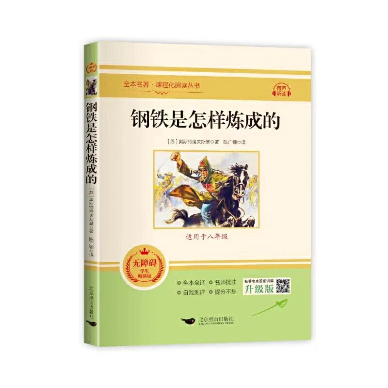 钢铁是怎样炼成的 初中生课外阅读 教辅书籍