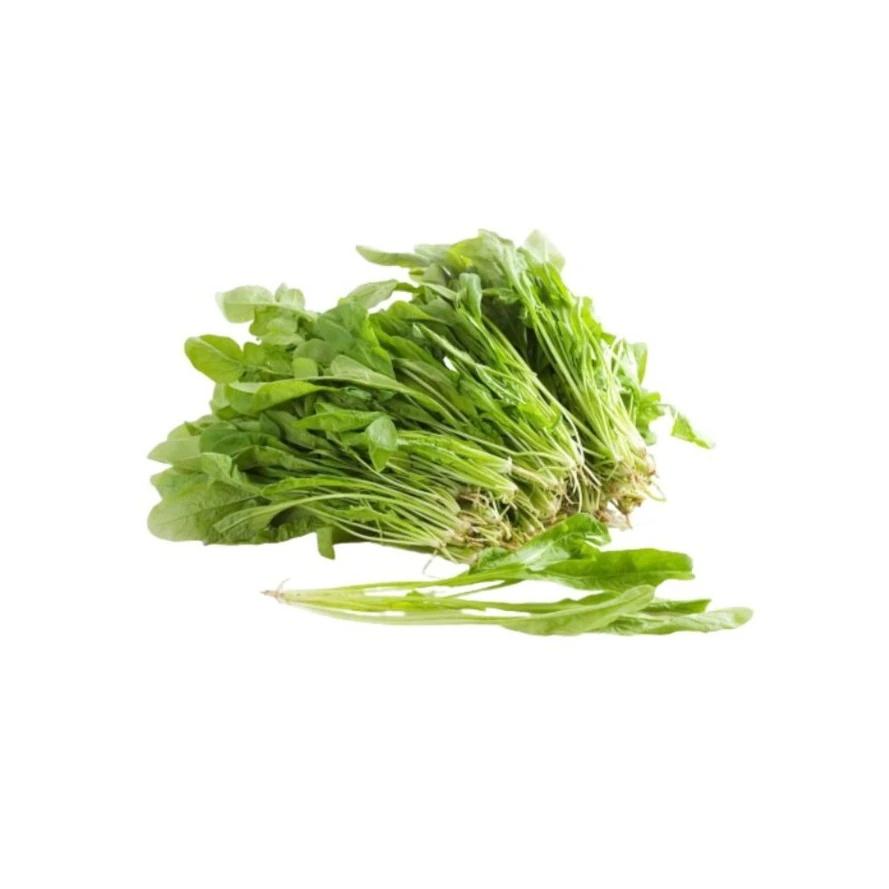 苏北露天新鲜荠菜