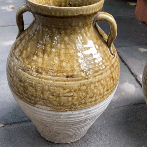 花卉种植种菜种花