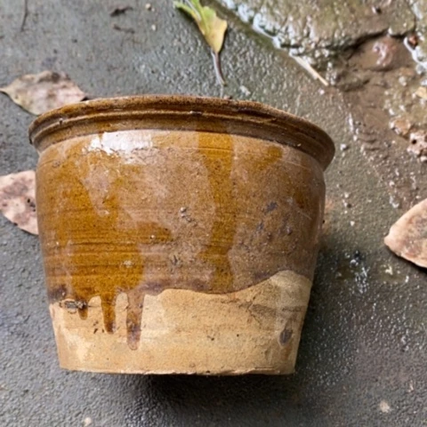 花卉种植种草种草