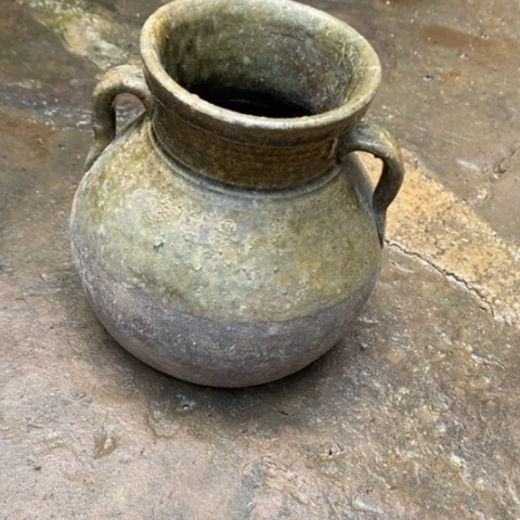 花卉苗木花卉种植