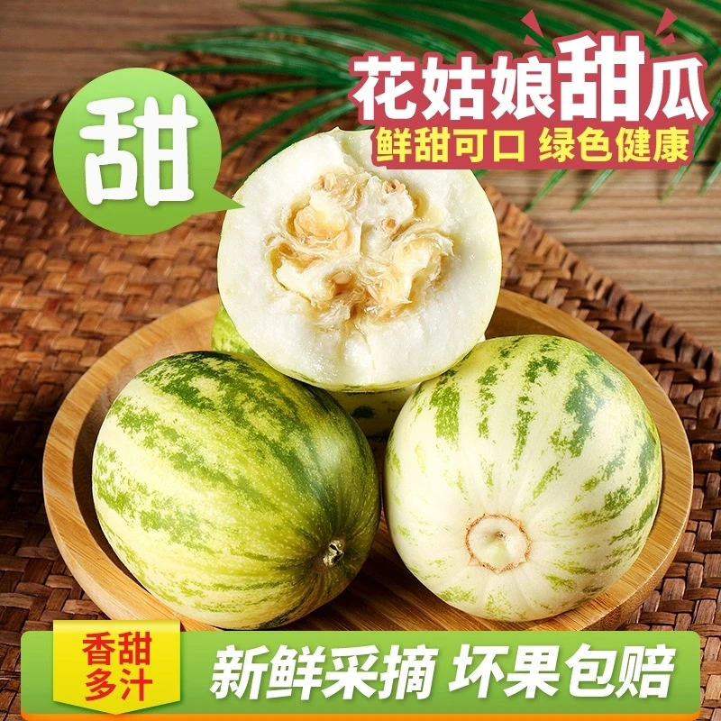 东北香瓜老品种花姑娘脆甜多汁 头茬香瓜香甜采摘2斤【顺丰包邮】