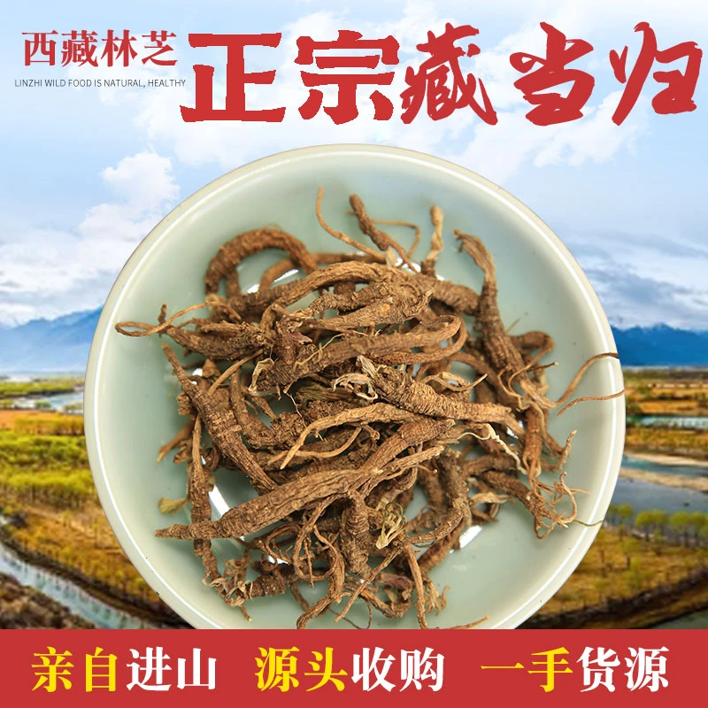 西藏当归藏当归250克高品质藏当归山药山货 味道香 家当归 可磨粉