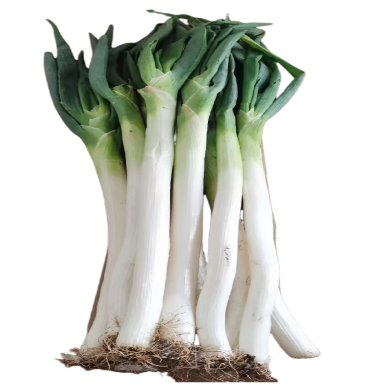 大葱约300克一份