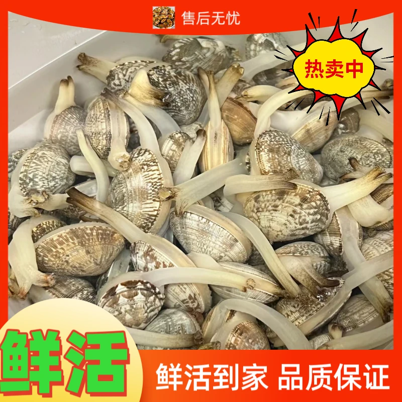 鲜活花甲500克/份