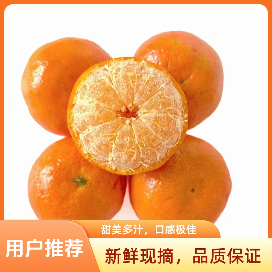 精选砂糖橘300克