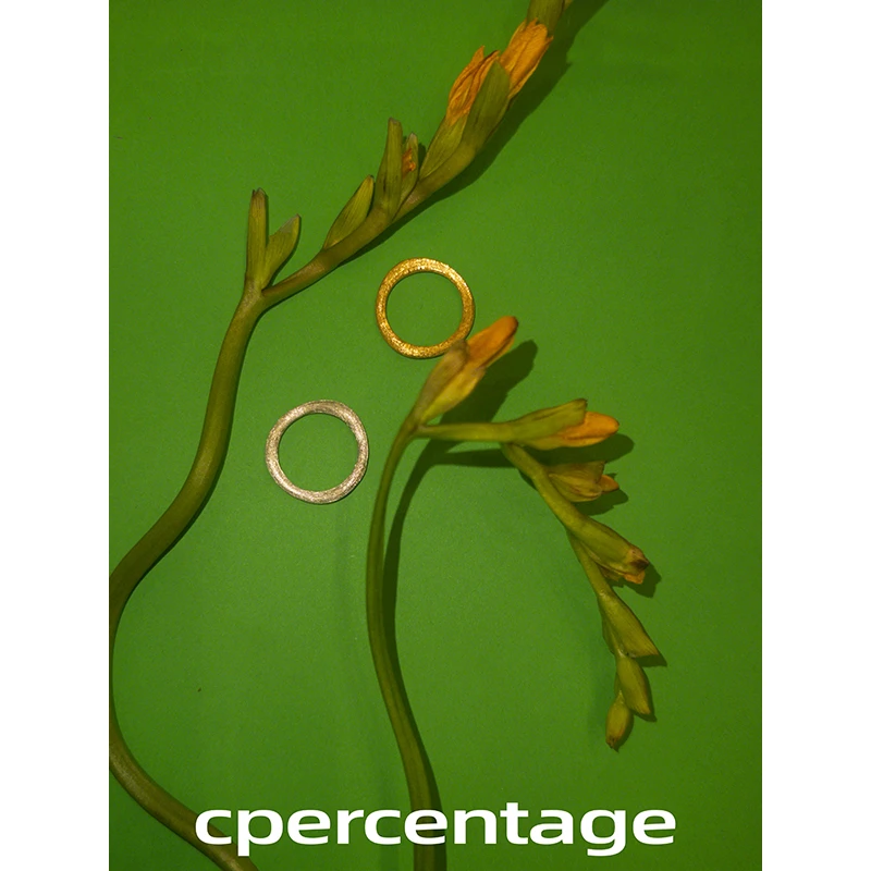 不锈钢戒指 c percentage 原创设计新款时尚拉丝不规则洋气小众92