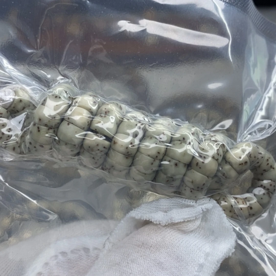 【闪购商品】星月菩提吊坠6