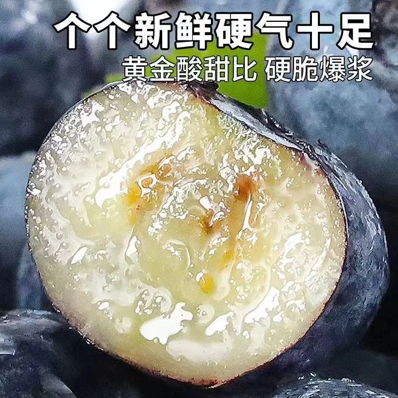 新鲜蓝莓鲜果2025年现摘现发应季水果甄选头茬大颗蓝莓水果多汁