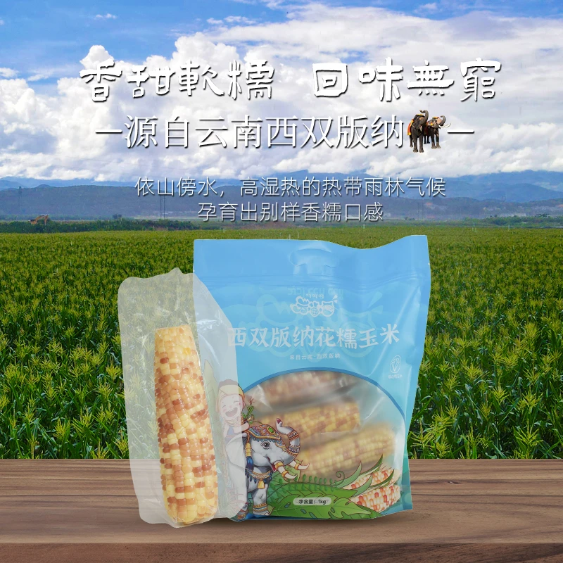 西双版纳精选花糯小玉米新鲜采摘真空健康加热即食早安苞米早餐