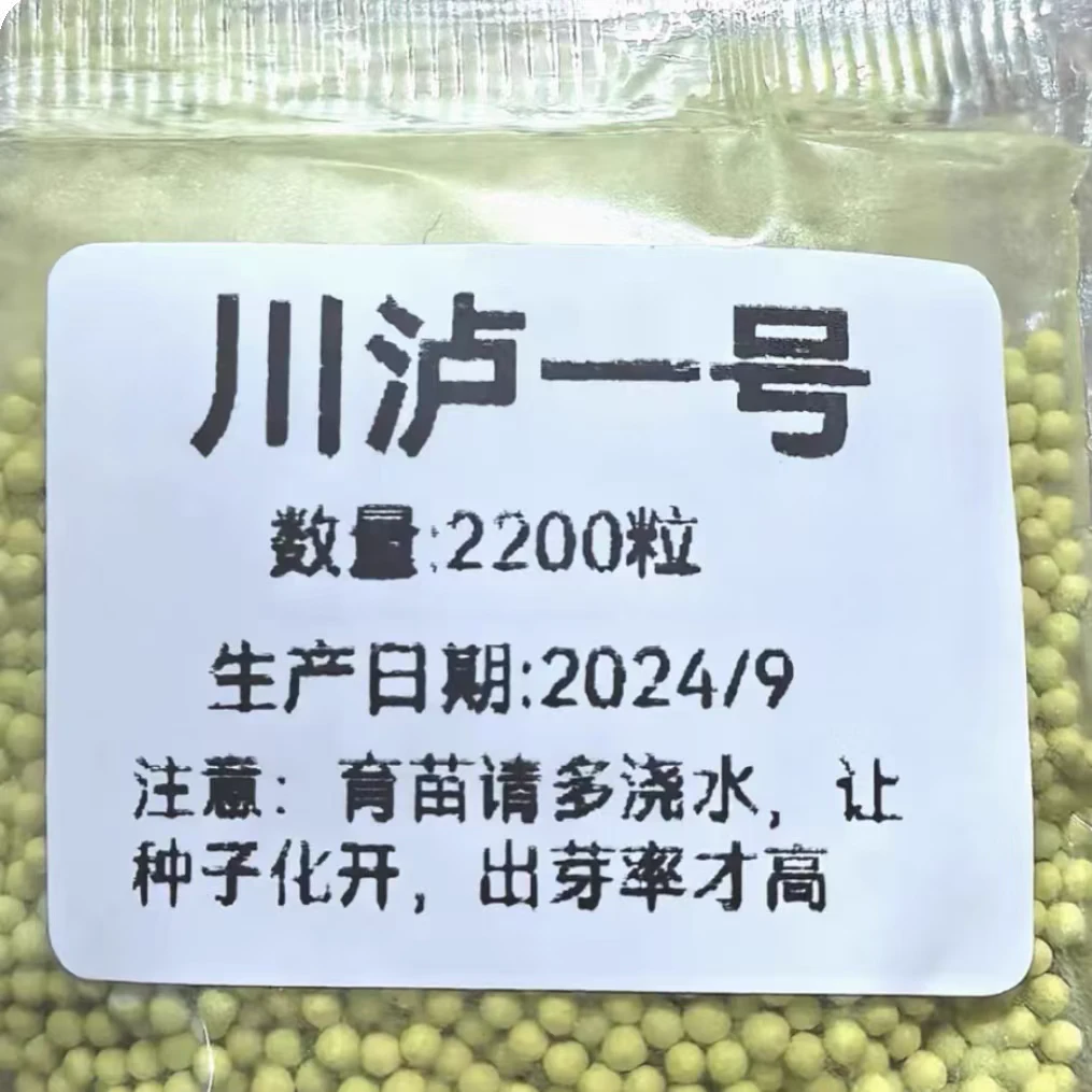 川泸一号干八两KK19云99假87毛尖一号抗病王云100