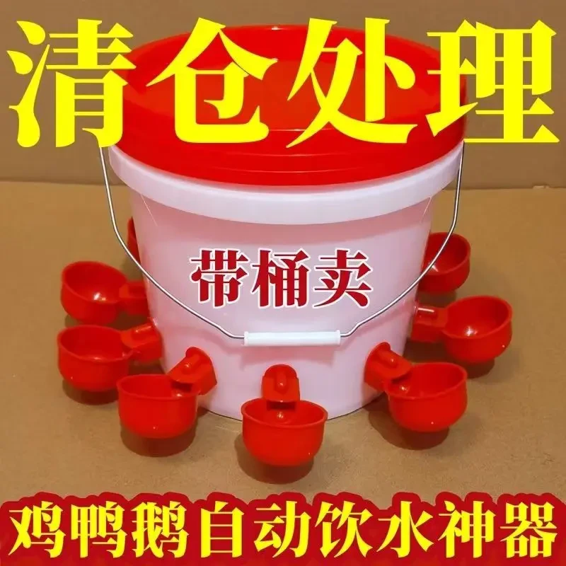 家禽养殖小鸡鸭鹅自动饮水碗饮水器鸽用自动喝水饮水碗鹌鹑鸡食槽