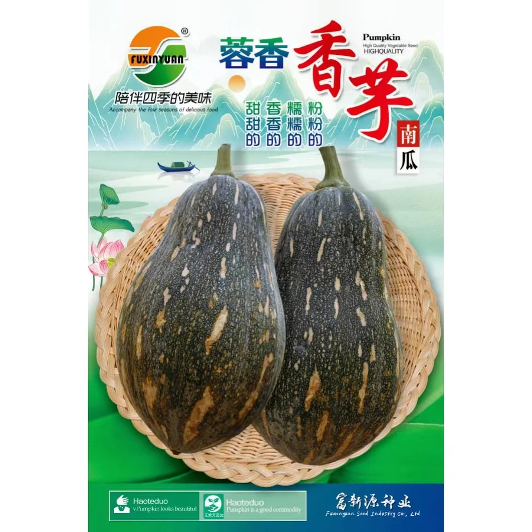 香芋南瓜种子中早熟粉糯香甜香芋味浓小南瓜种子春秋种植蔬菜种子