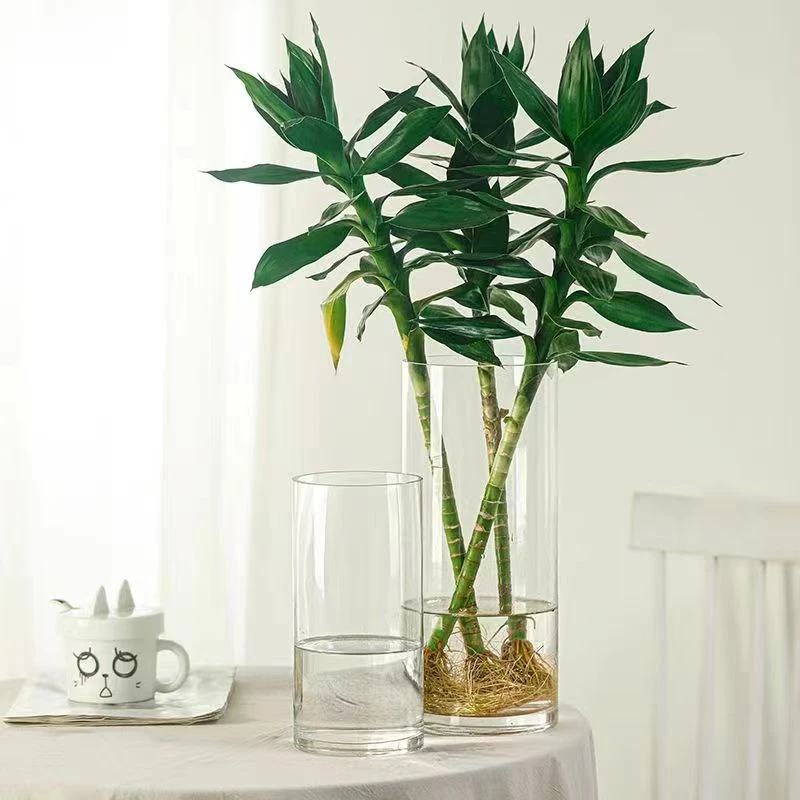 2060 透明插花玻璃高级感水养花花现代简约网红大直筒