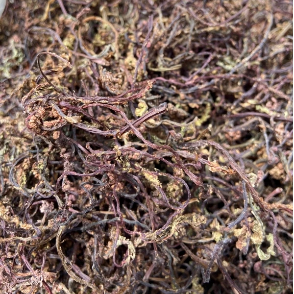 （小侯书记）东北野生山菜猴腿干