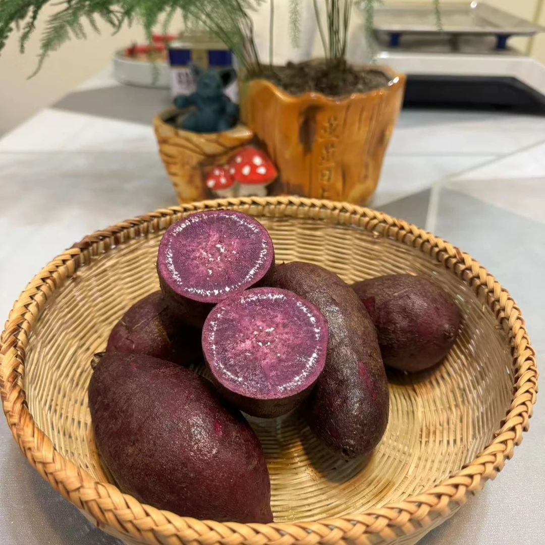 农家原生态种植新鲜紫色紫薯
