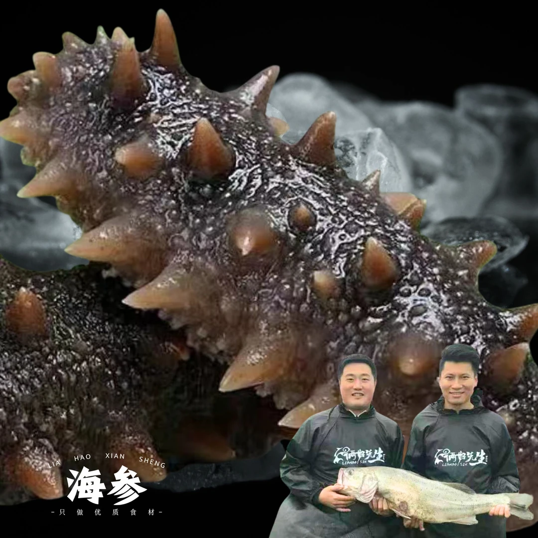 W【参王】俩好先生海鲜鲜食即食海参冷冻刺参发2斤（每斤6-7头）