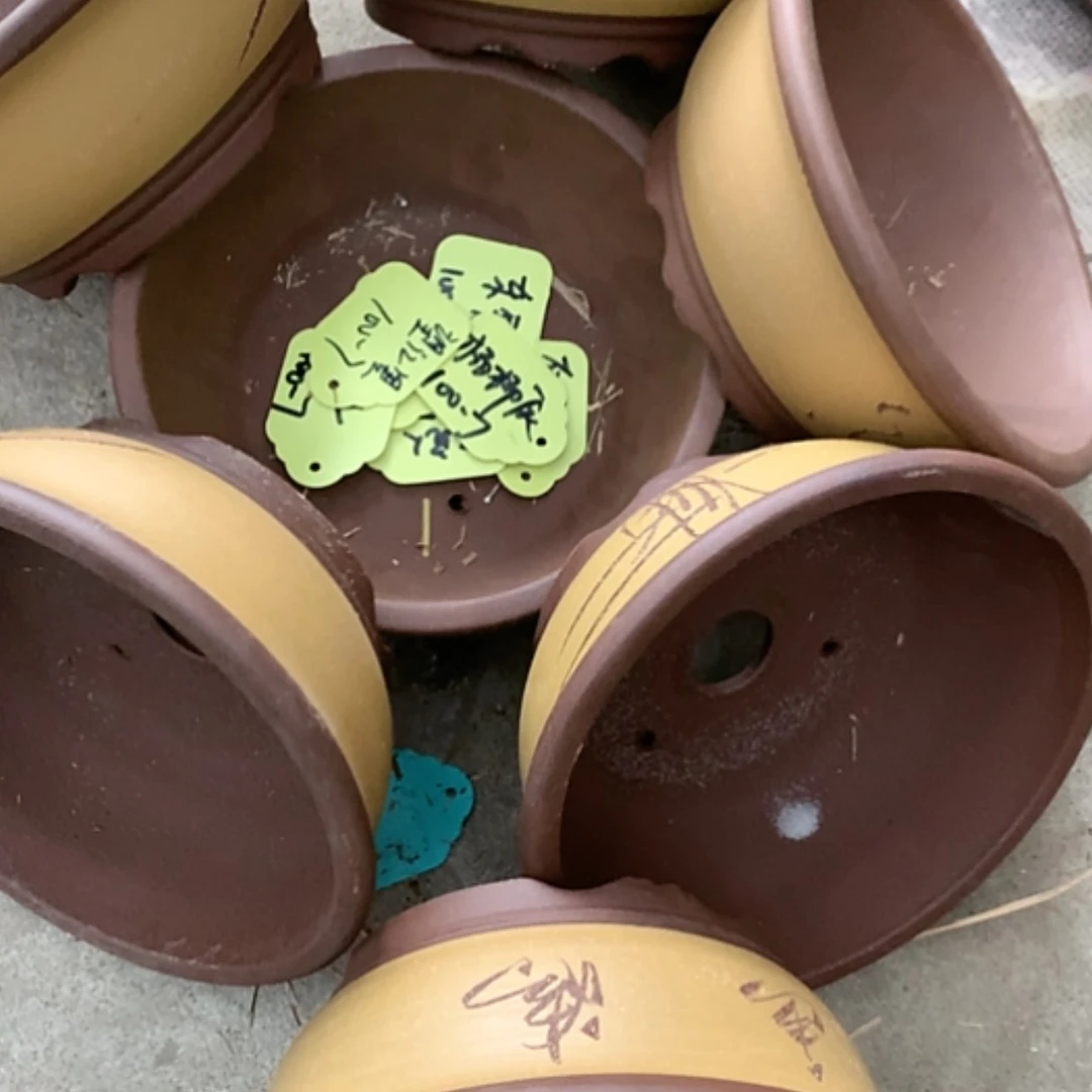 【闪购商品】紫砂花盆100-7