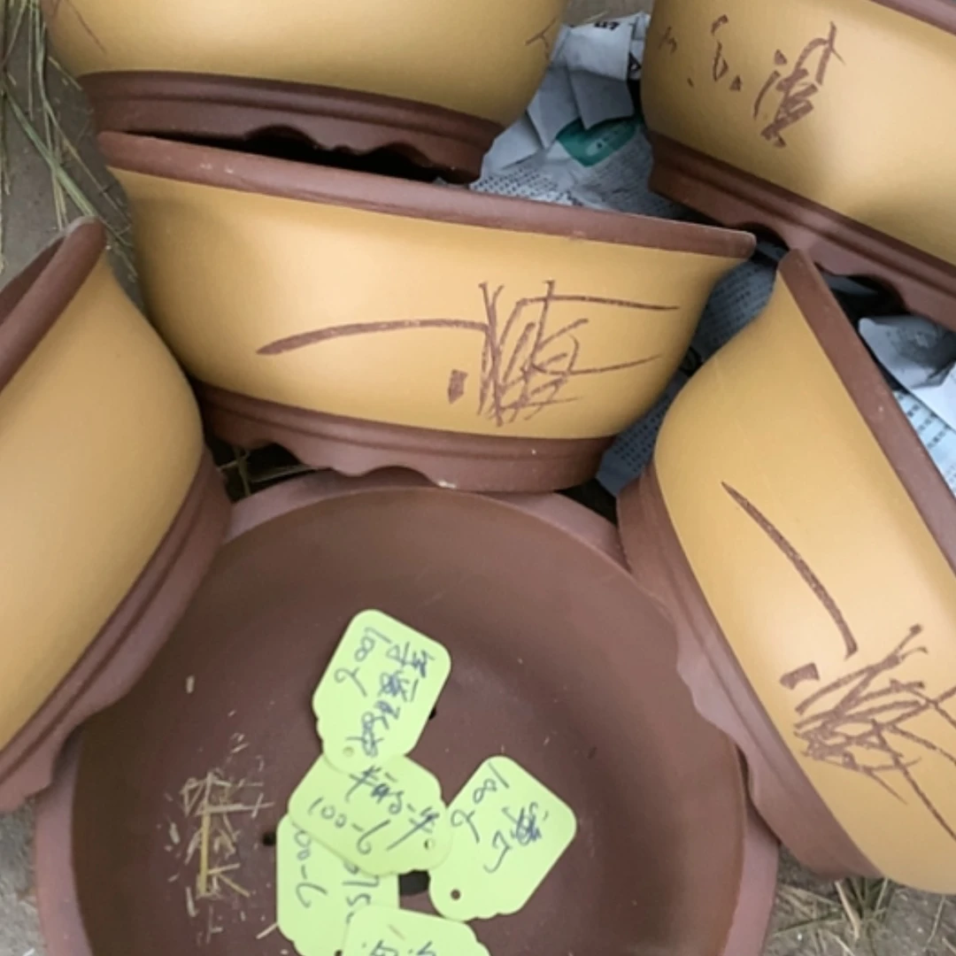 【闪购商品】紫砂花盆100-6