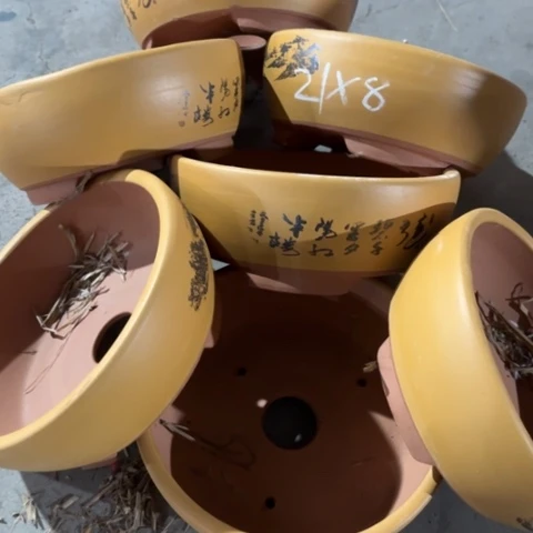 紫砂花盆100-7。
