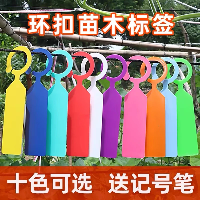 【送大水笔】园艺标签环扣塑料防水苗花卉葡萄西瓜果树植物标记挂牌
