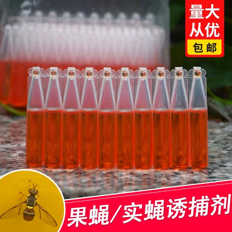 简易果蝇诱捕器盖头果园瓜地桔小实蝇针锋瓜蝇诱引捕捉诱剂果蝇剂