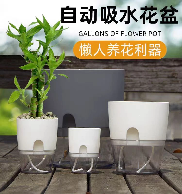 自动吸水塑料仿陶瓷绿萝多肉水培透明透气懒人花盆免浇水养花水养