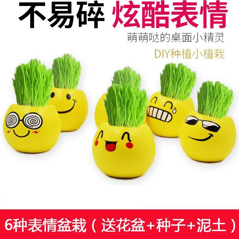 可爱表情种植草头娃娃桌面diy趣味小盆栽幼儿园开学奖品开业礼品