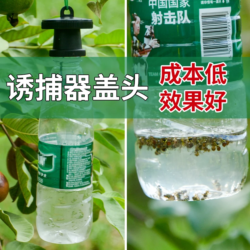 简易果蝇诱捕器盖头果园瓜地桔小实蝇针锋瓜蝇诱引捕捉诱剂果蝇药