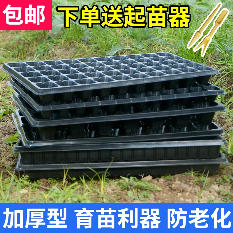 多肉芽苗菜培育箱穴盘带孔平盘种植育苗盘塑料多孔草莓种子营养钵