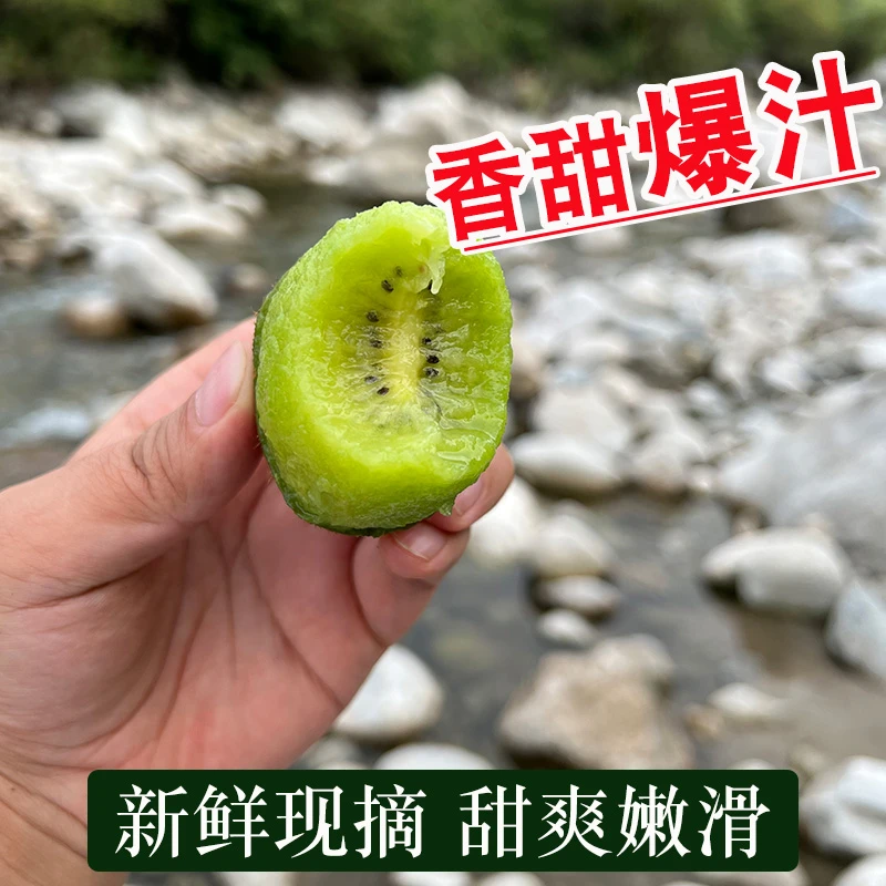 AAA【霜降后 9.5分甜0.5分酸 又甜又香又好吃】猕猴桃 新鲜 5斤装
