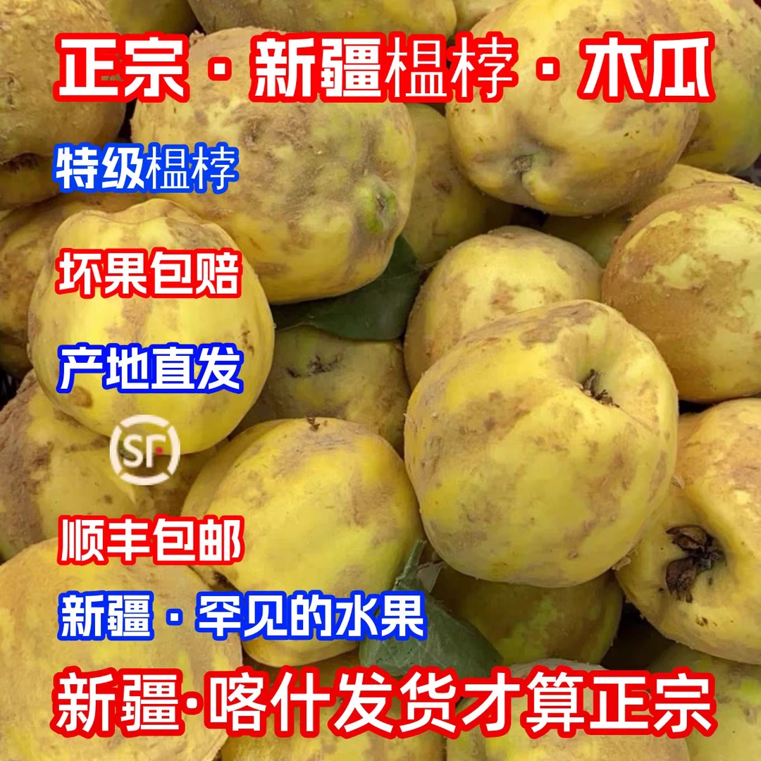 正宗新疆喀什榅桲木瓜当季新鲜罕见水果木梨健康果之皇万寿瓜包邮