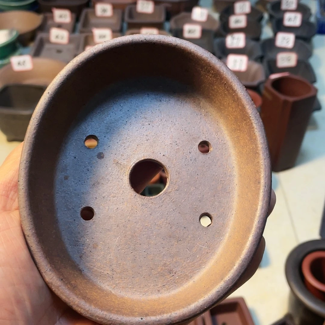 紫砂紫砂小盆12*10*2