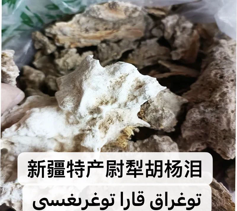 新疆特产尉犁特产胡杨泪togruga
