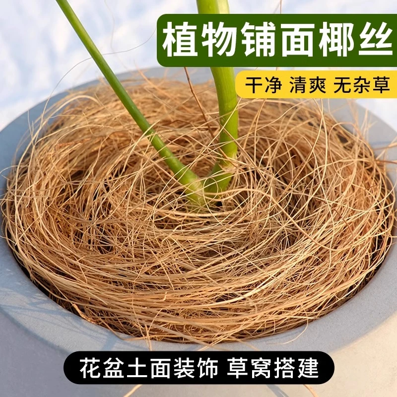 园艺椰丝原生椰棕丝花盆椰丝铺面盆栽装饰花盆填充物鸟窝草窝垫材
