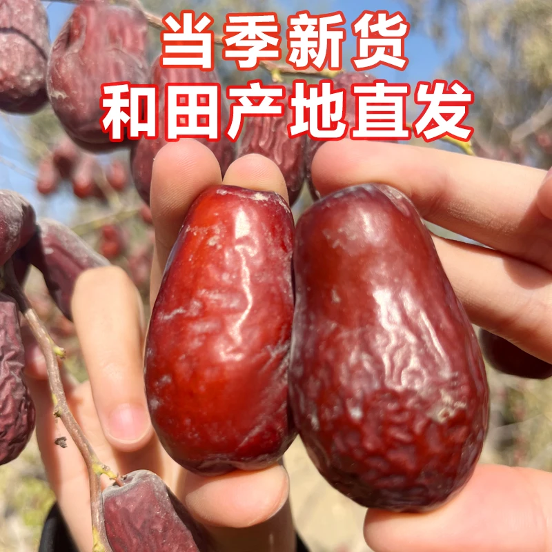 25年树上自然干新疆和田大枣5斤原味大果无添加未清洗新鲜红枣1斤